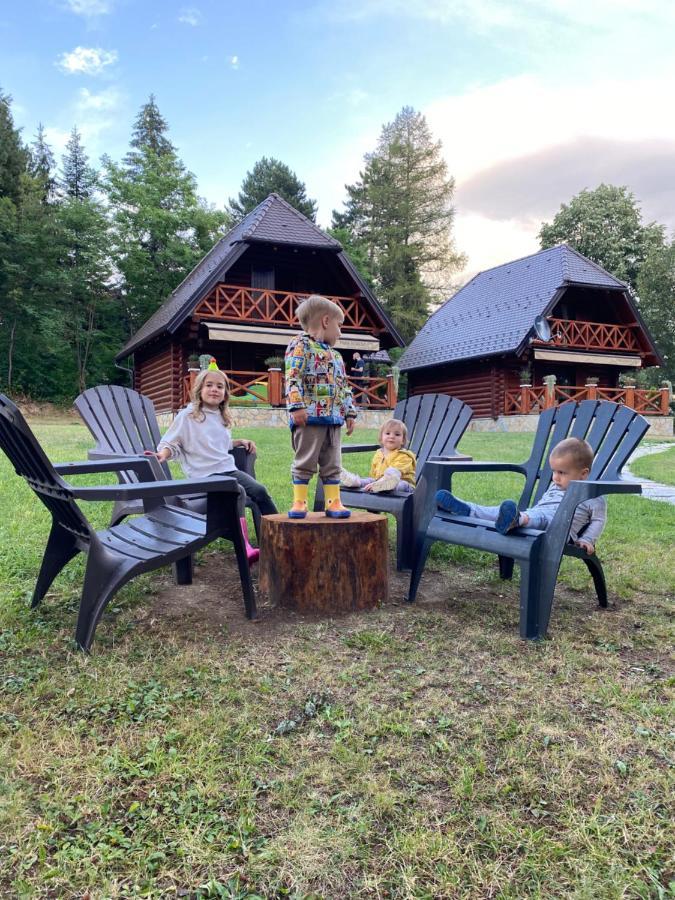 Brvnare Park Borova Villa Zlatibor Exteriör bild