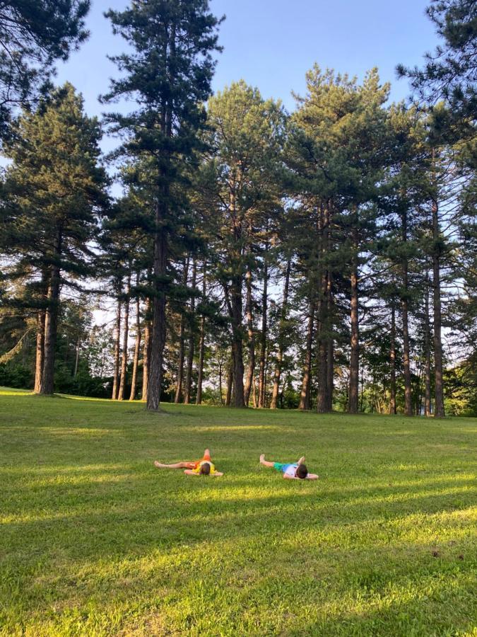 Brvnare Park Borova Villa Zlatibor Exteriör bild